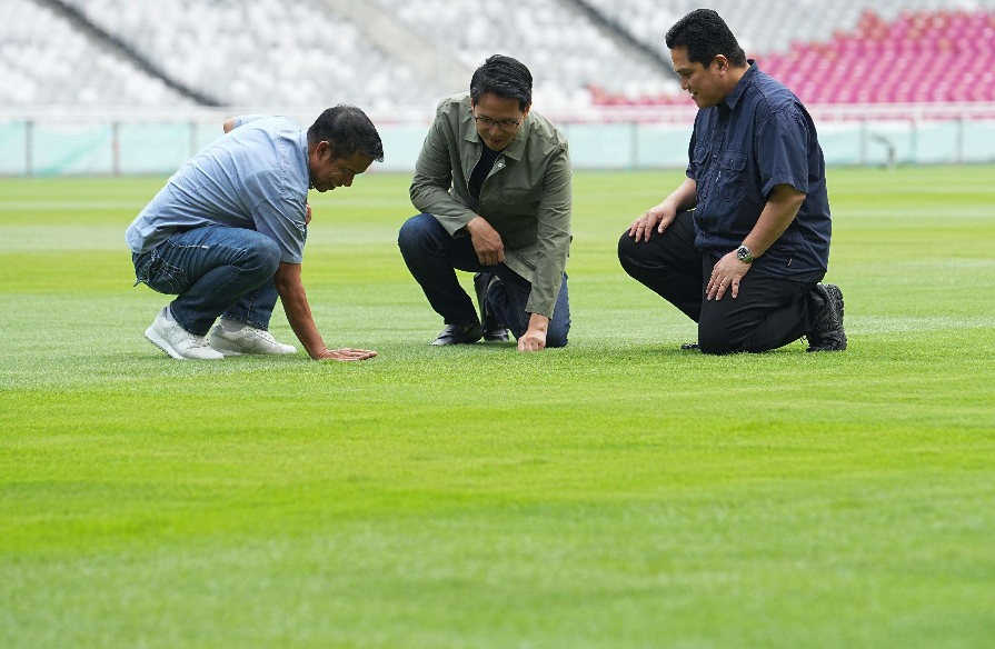 Rumput SUGBK Dikabarkan Belum